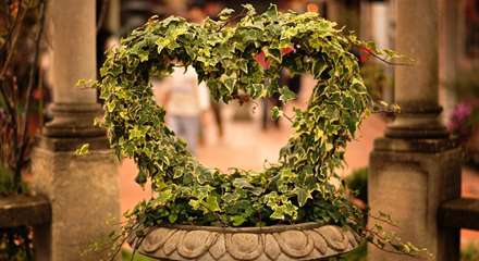 قلبی ساخته شده با برگ