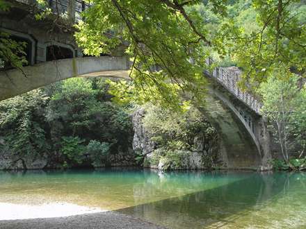 پلی روی رودی میان جنگل