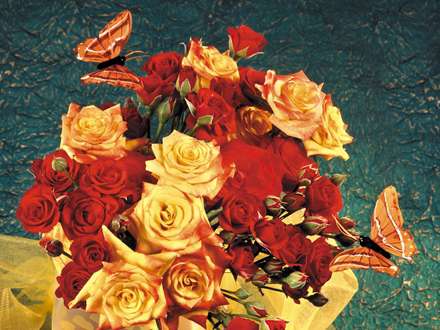 گلهاي محمدي متنوع و پروانه ها