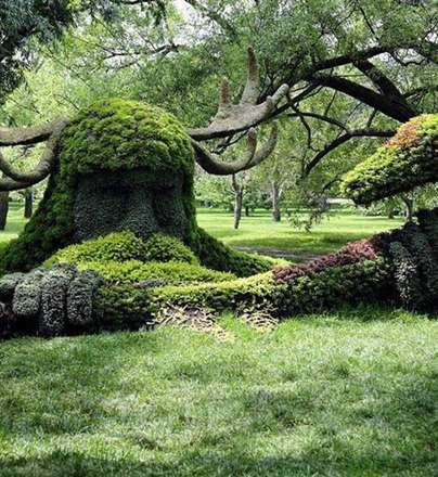 زیباترین آثار جشنواره گیاه شناسی مونترال