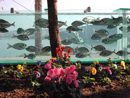 عجیب ترین حصار برای خانه