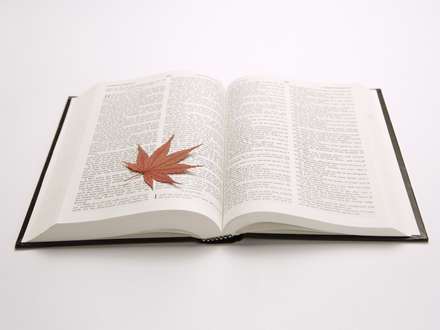 برگی پاییزی روی کتاب