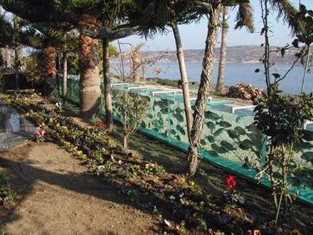 عجیب ترین حصار برای خانه