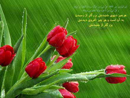 حدیثی از امام علی علیه السلام