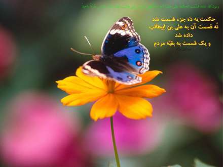 حدیثی از پیامبر صل الله علیه و آله و سلم
