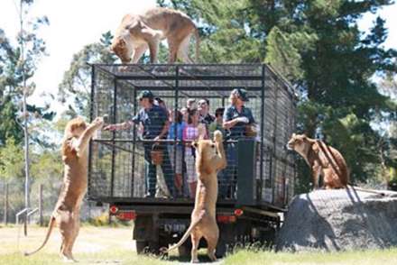 باغ وحشی که انسانها بجای حیوانات در قفس اند