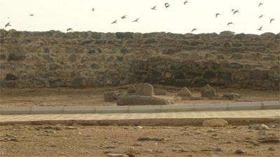 روایتی از امام محمد باقر