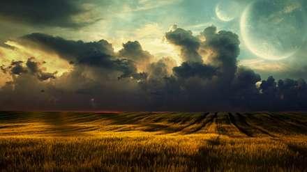 منظره زیبای مزرعه