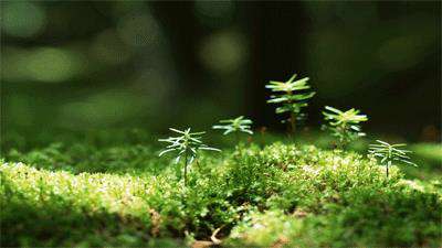 طبیعت شگفت انگیز