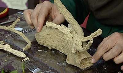 ادامه تنه درخت _ فرانز