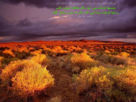 حدیثی از امام علی علیه السلام