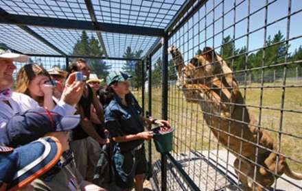 باغ وحشی که انسانها بجای حیوانات در قفس اند