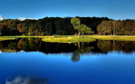 طبیعت کنار دریاچه