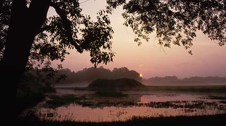 طلوع آفتاب در آلاباما