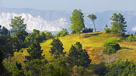 کوهستان زیبا