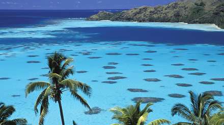 طبیعت زیبای ساحلی