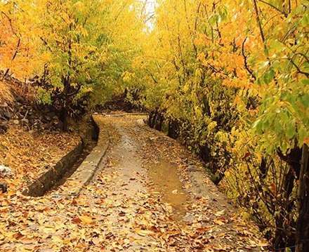 طبیعت پائیز همدان در قاب تصاویر