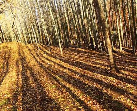 طبیعت پائیز همدان در قاب تصاویر