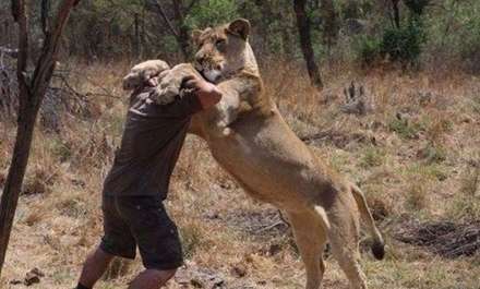 ارباب شیرها