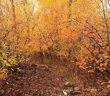 طبیعت پائیز همدان در قاب تصاویر