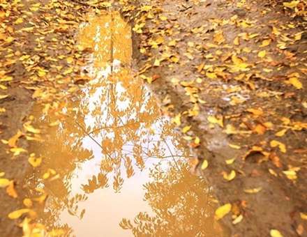 طبیعت پائیز همدان در قاب تصاویر