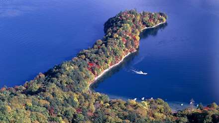 جنگلی باریک میان دریا