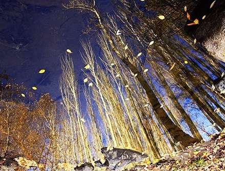 طبیعت پائیز همدان در قاب تصاویر