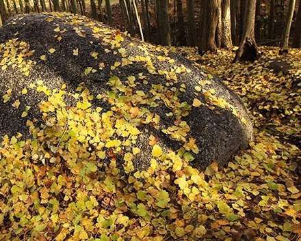 طبیعت پائیز همدان در قاب تصاویر