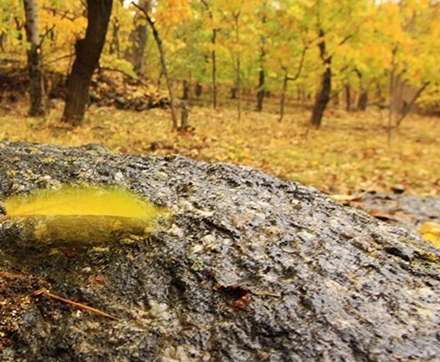 طبیعت پائیز همدان در قاب تصاویر