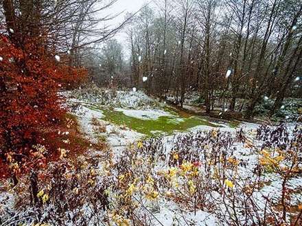 بارش برف پائیزی در روستای کیاده