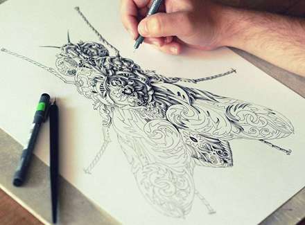 نقاشی از حشرات به سبک جدید