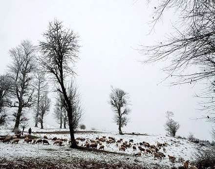 بارش برف پائیزی در روستای کیاده