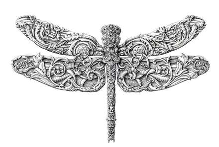 نقاشی از حشرات به سبک جدید