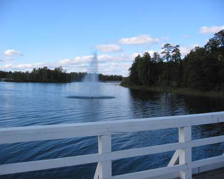 دریاچه و جنگل