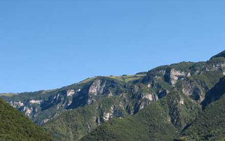 کوهستان سبز