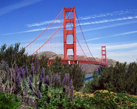 پل بسیار زیبا