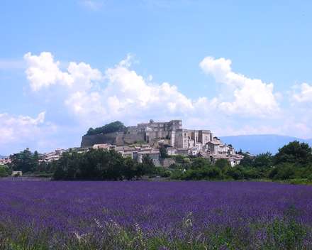 دشت بنفش و دهکده کوهستانی