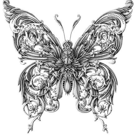 نقاشی از حشرات به سبک جدید