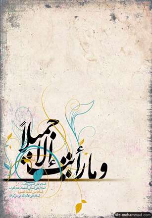 وما رایت الا جمیلا