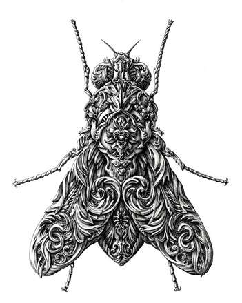 نقاشی از حشرات به سبک جدید