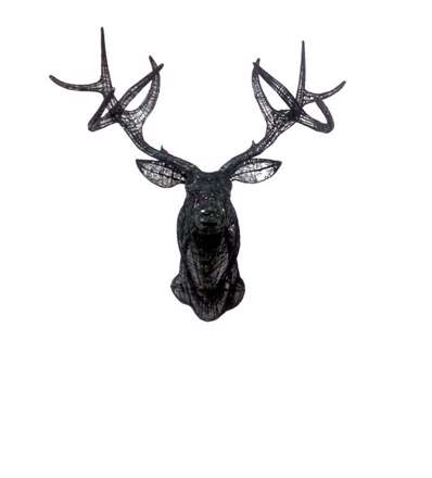 مجسمه هایی باورنکردنی با سیم