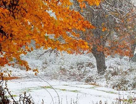 بارش برف پائیزی در روستای کیاده