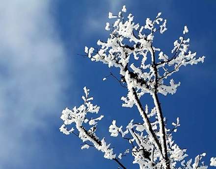 بارش برف پائیزی در روستای کیاده