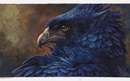 نقاشی زیبا از عقاب سیاه