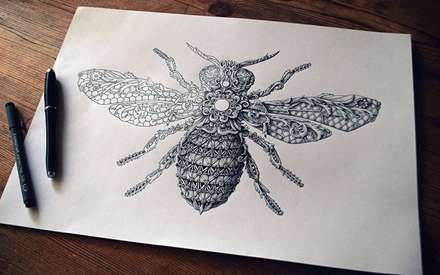 نقاشی از حشرات به سبک جدید