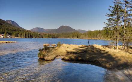 دریاچه ای میان جنگل