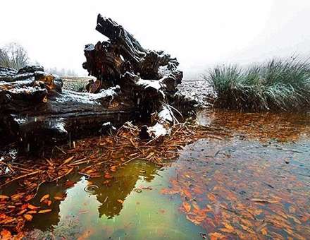 بارش برف پائیزی در روستای کیاده