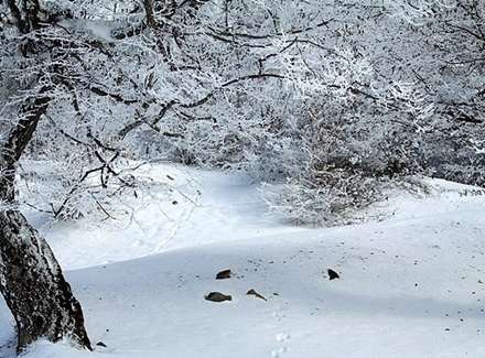 بارش برف پائیزی در روستای کیاده