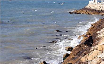 غذا دادن به پرندگان ساحلی