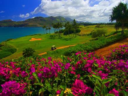 زمین گلف ساحلی